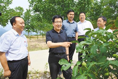 林铎：紧盯细节持续攻坚 发挥优势壮大产业 确保脱贫成果经得起历史和实践检验